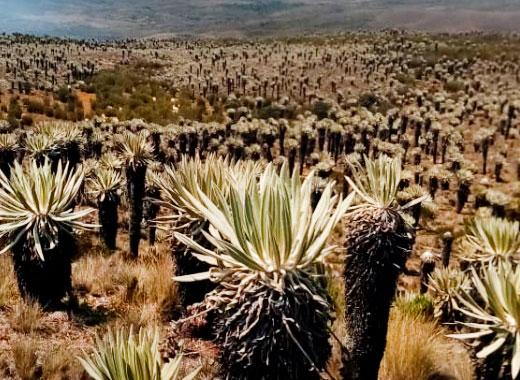 Recursos Naturales y Suelos De Protección