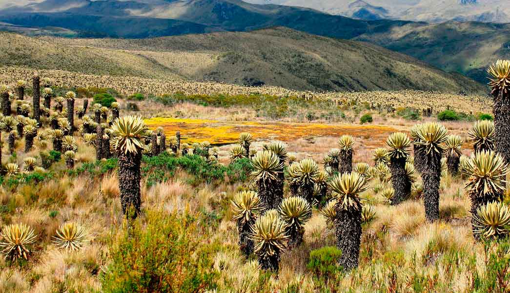 Avaluos de recursos naturales y suelos de proteccion